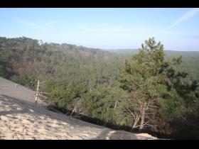 La grande Dune du Pilat à Pyla