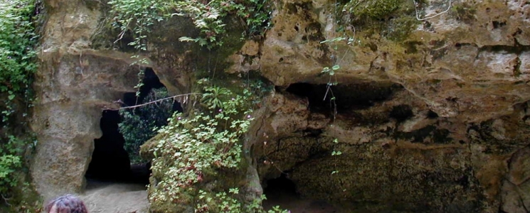Photo La Grotte de Pair-non-Pair  - voyage Prignac-et-Marcamps
