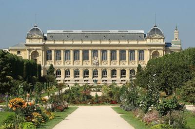 Photo Jardin des plantes - voyage Paris