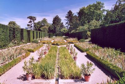 Photo Parc de Bagatelle - voyage Paris