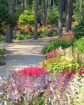 Photo Parc floral de Paris - voyage Paris