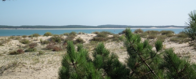 Photo La plage de Gatseau - voyage Saint-Trojan-les-Bains
