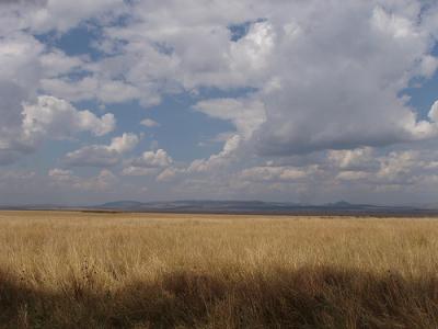 Photo Réserve de Marsabit - voyage Marsabit