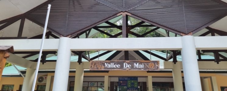 Photo Vallée de Mai - voyage Praslin